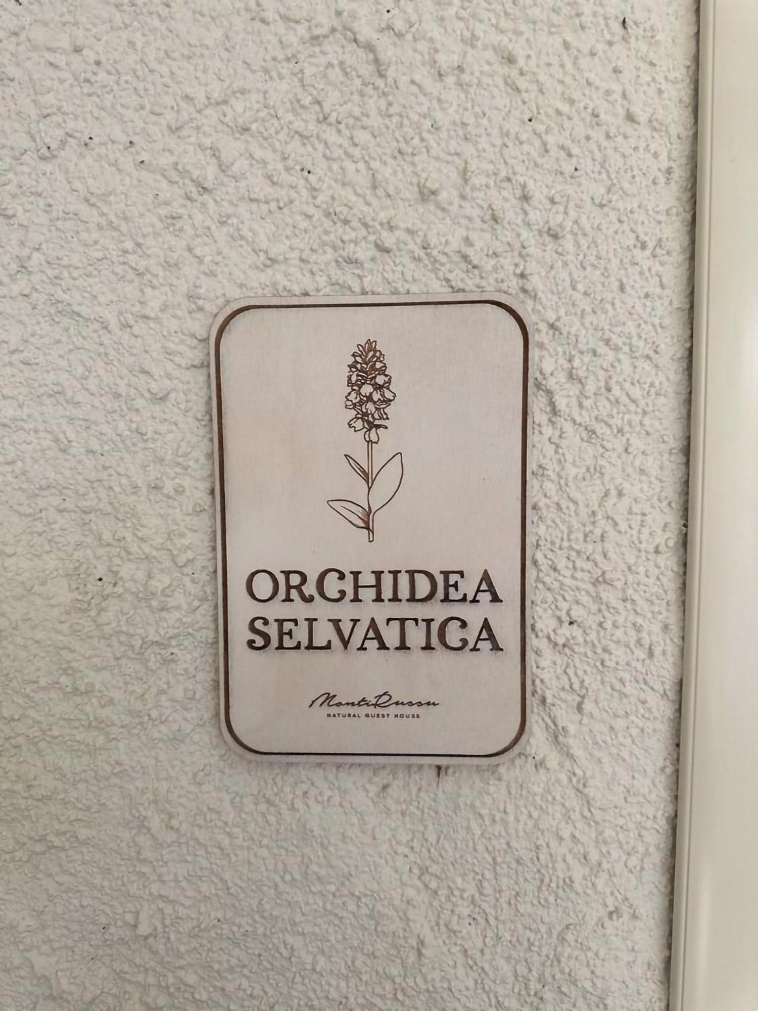 Monti Russu Natural Guest House Aglientu Exterior photo
